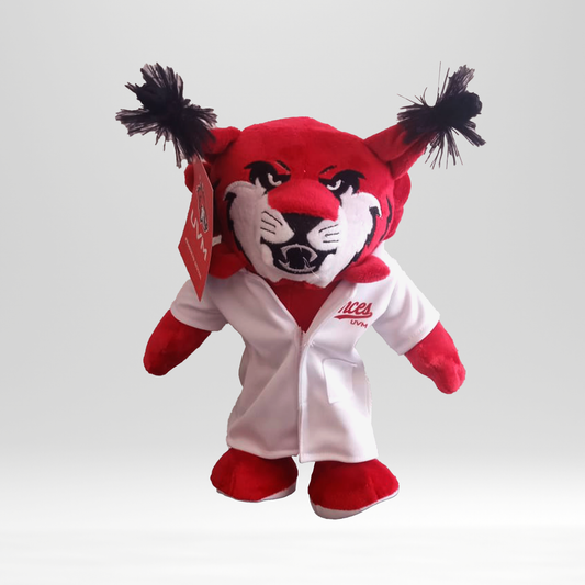 Peluche de mascota médico